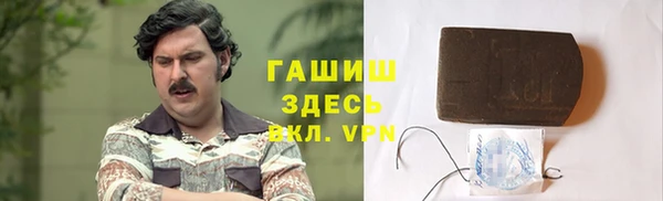 молекула духа Богданович