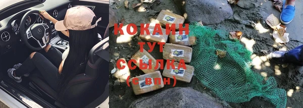 молекула духа Богданович