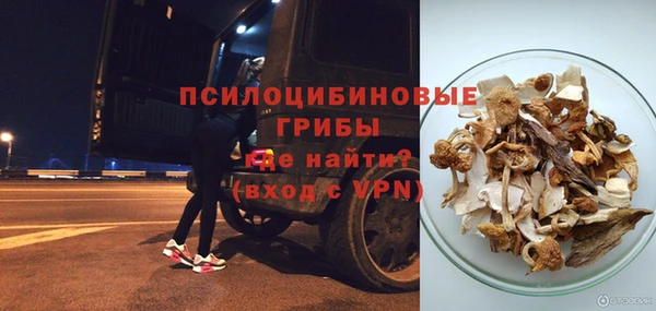 дживик Бронницы