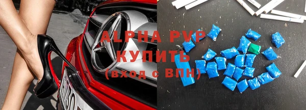 молекула духа Богданович