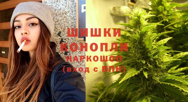 молекула духа Богданович