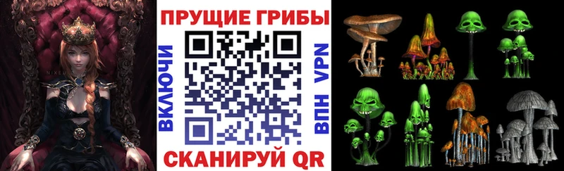 Псилоцибиновые грибы Psilocybe  Купить  Мурино 